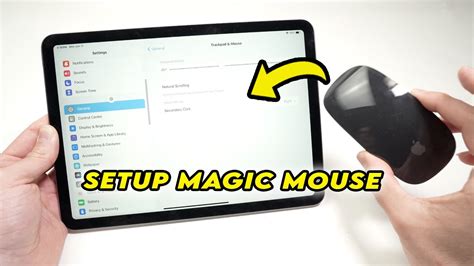 Compatibility of Magic Mouse with iPad