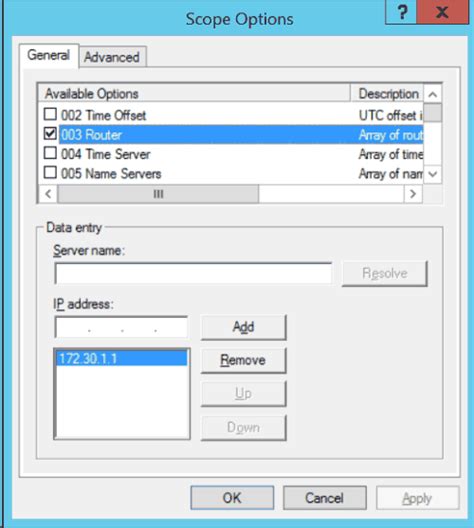 Configuration of DHCP Scope and Options in a Microsoft Server Environment