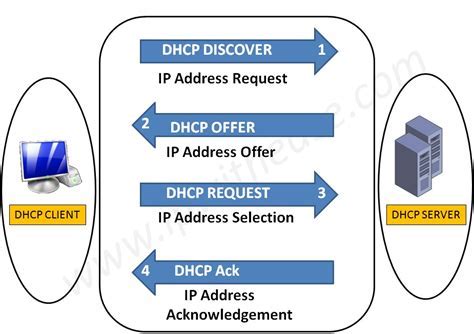 Configuring DHCP Options: Understanding the Basics