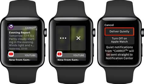 Configuring Quiet Notifications on Your Apple Timepiece