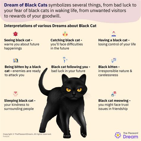 Connecting Dream Themes: Black Kittens and Transformation