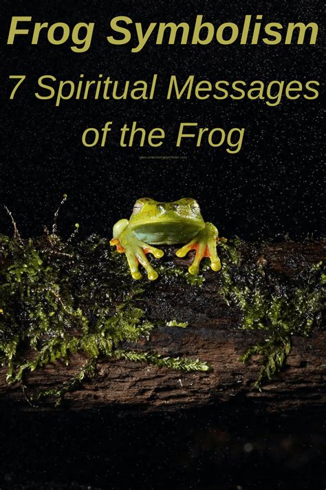 Connecting Dreams and Reality: Exploring the Symbolic Representation of Frogs in Life’s Reflections