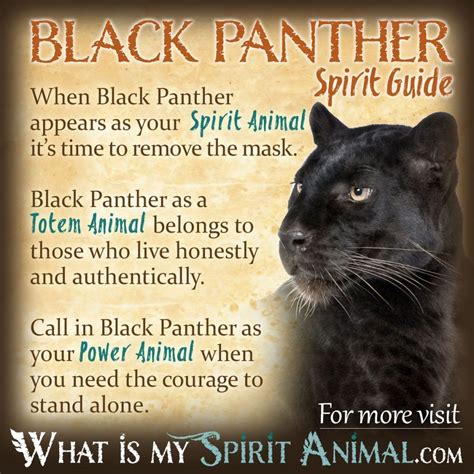 Connecting the Black Puma to Personal Strength and Courage