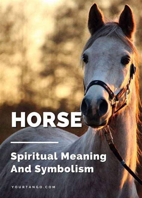 Connecting with Freedom: Exploring Equine Symbolism in Dreams