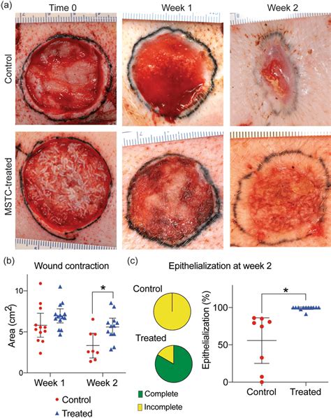 Context Matters: Analyzing the Interpretation of Canine Wound and Bloodshed in Various Scenarios