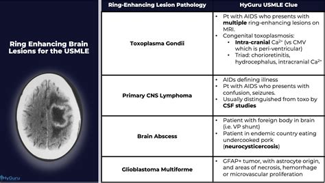 Coping with Intracerebral Lesions: Aid and Rehabilitation