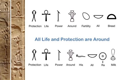 Cows in Ancient Egyptian Mythology: An Emblem of Life and Rebirth