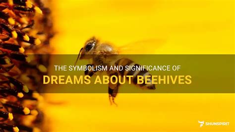 Cracking the Hidden Significance of Beehives in the Realm of Dream Deciphering