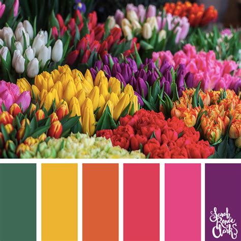 Creating Breathtaking Floral Combinations with Color Theory