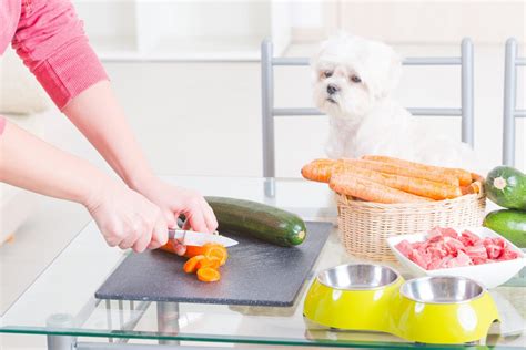 Creating Delightful Decorations for Your Canine Companion's Meal