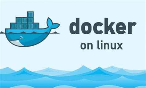 Creating a Linux Docker Environment: A Detailed Walkthrough