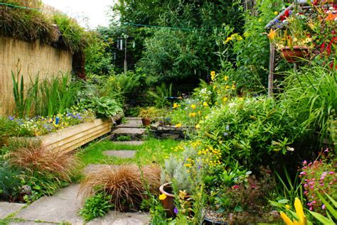 Creating an Inviting Environment for Wildlife in Your Outdoor Space