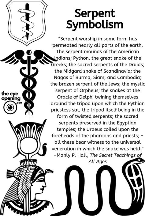 Cultural and Historical Perspectives on Serpents as Symbols