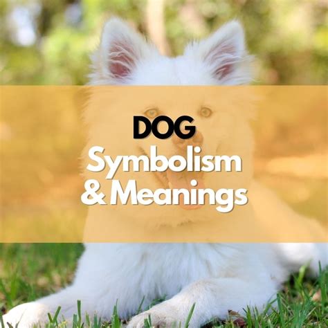 Cultural and Historical References: Dogs in Symbolism and Mythology