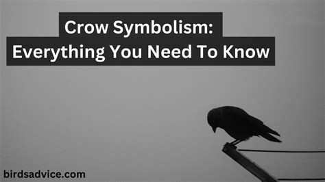 Curiosity Strikes: Researching Crow Symbolism