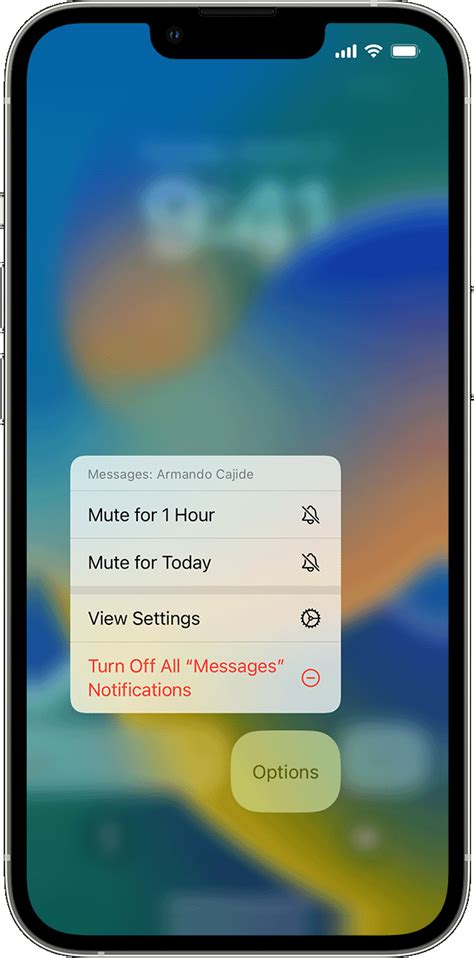 Customizing Notification Settings in Tinkoff Application on Your Apple Device