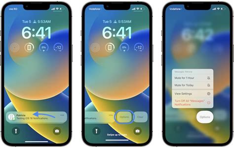 Customizing Your Notifications to Resemble iOS 16