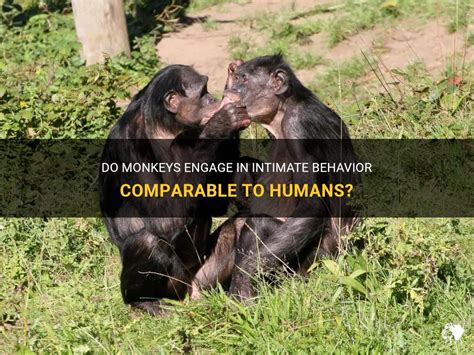 Debunking Myths: Are Monkeys Truly Comparable to Human Infants?