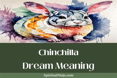 Deciphering Chinchilla Dreams: Decoding Symbolism and Unveiling Messages