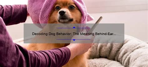 Deciphering the Enigma: Decoding the Significance Behind Canine Nipping in One's Subconscious