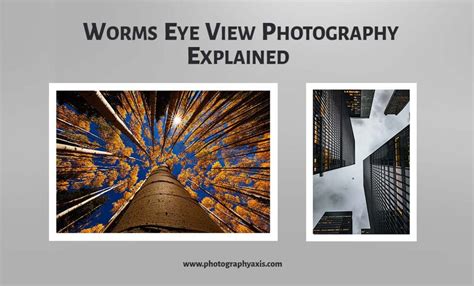 Deciphering the Meaning of a Worm in Your Vision