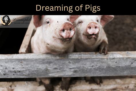 Deciphering the Messages of Dreams Involving Tiny Piglets