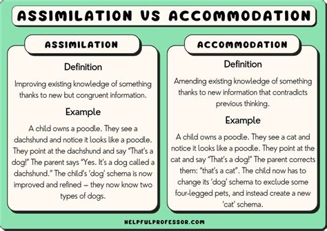 Deciphering the Significance of "Zhemchuzhina" Accommodation in an Unpleasant Nightmare