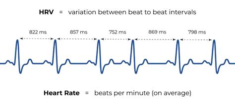 Decoding Heart Rate Variability Data