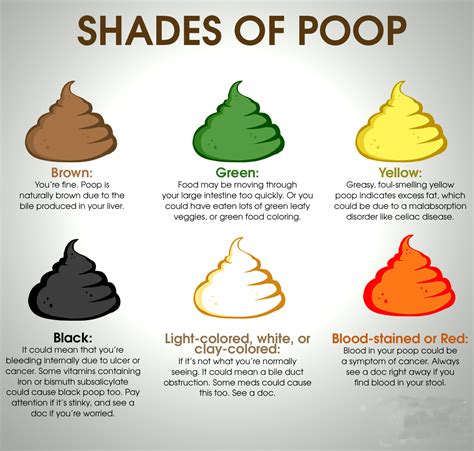 Decoding Symbols: Exploring the Significance of Different Poop Shapes and Colors