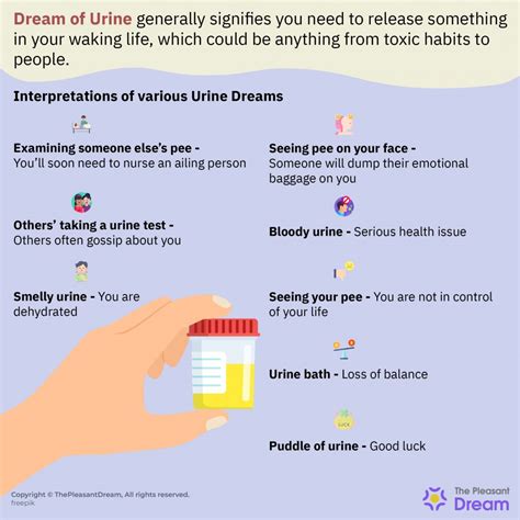 Decoding Various Scenarios Involving Urine in Dreams