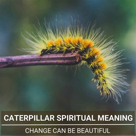 Decoding the Behavior of Caterpillars in Dreamscapes: Deciphering Their Symbolic Significance 