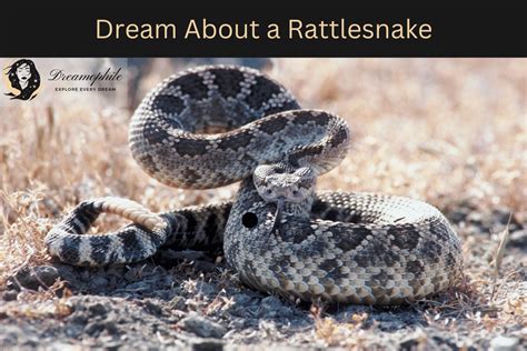 Decoding the Dream Scenario of a Serpent Attempting to Assault You