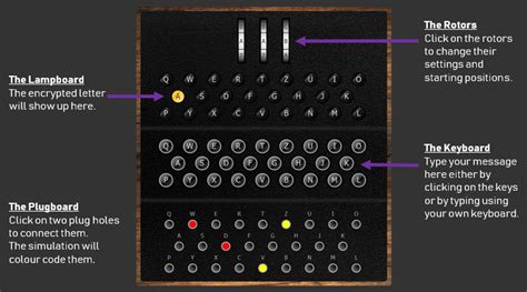 Decoding the Enigma: Retelling the Enigmatic Experience