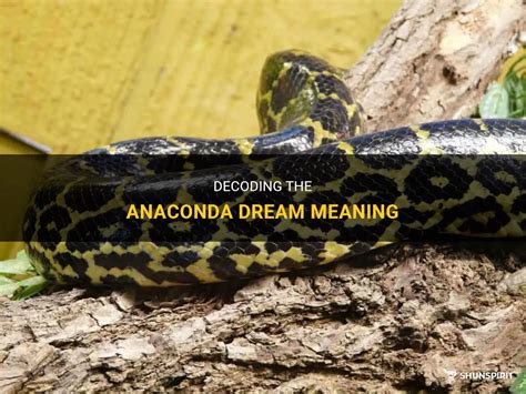 Decoding the Enigmatic Symbolism: Unmasking the Significance of Anaconda Dreams