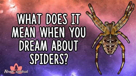 Decoding the Enigmatic Web: Deciphering Spider Dreams from a Masculine Perspective