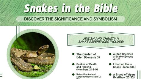 Decoding the Hidden Meanings of a Lifeless Serpent: Unraveling Symbolic Connotations and Significance