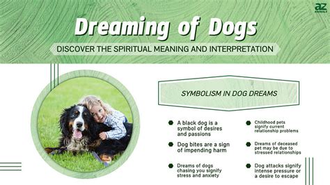 Decoding the Meaning: Unraveling the Symbolism of a Canine Wound in Dreams