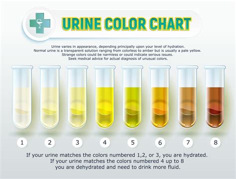 Decoding the Meaning Behind Different Colors of Urine: Insights into Your Well-being