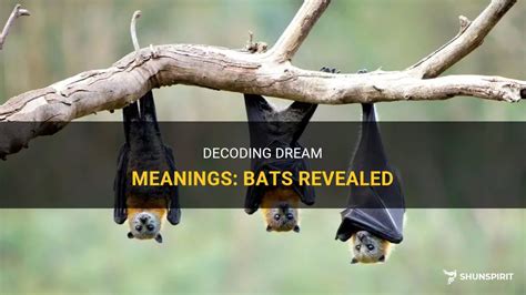 Decoding the Meaning Behind a Bat in Dreamscapes