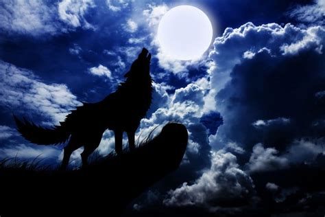 Decoding the Meaning of Dreaming About Black Wolves