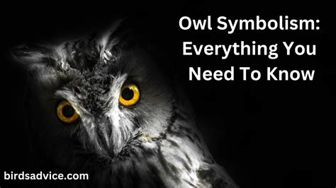 Decoding the Message: Exploring the Symbolism of Owls Inside Your Home