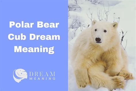 Decoding the Significance of Bear Cubs in Dream Analysis