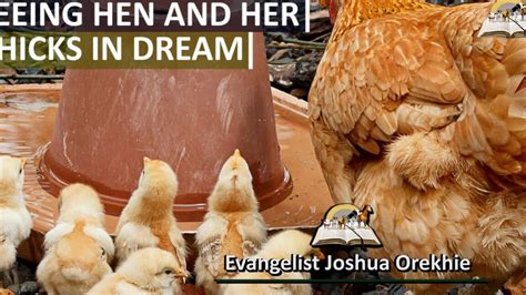 Decoding the Significance of Dreaming about a Tiny Hen