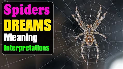 Decoding the Significance of Numerous Spiders in Dreams