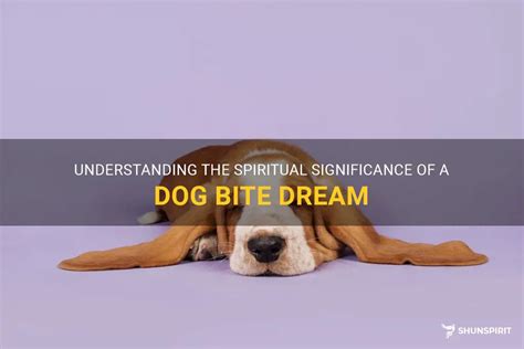 Decoding the Significance of a Canine's Bite on One's Palm within a Dream Analysis