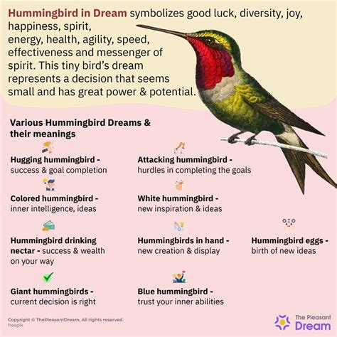 Decoding the Significance of a Comical Hummingbird in Dreams