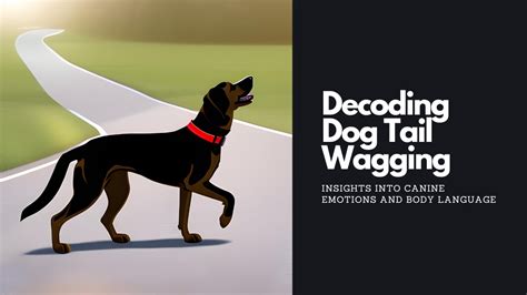 Decoding the Significance of a Wagging Tail from a Large Affectionate Canine in a Dream