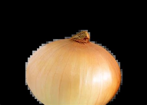 Decoding the Symbol: The Significance of Onions in Dreams