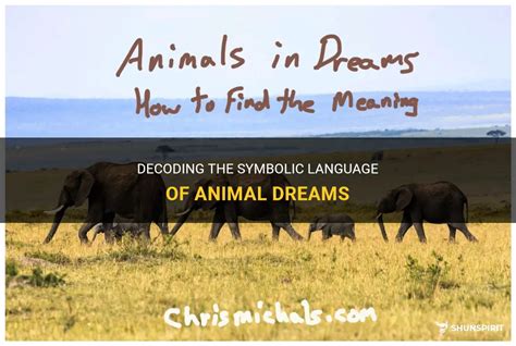 Decoding the Symbolic Meaning of Animals in Dreams