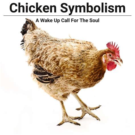 Decoding the Symbolic Meaning of Boiled Poultry in Oneiric Realms